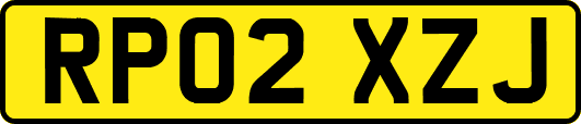 RP02XZJ