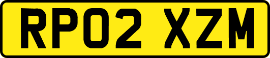 RP02XZM