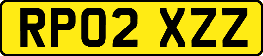 RP02XZZ