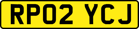 RP02YCJ