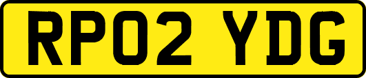 RP02YDG