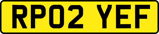 RP02YEF