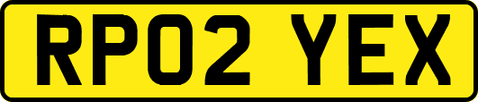 RP02YEX