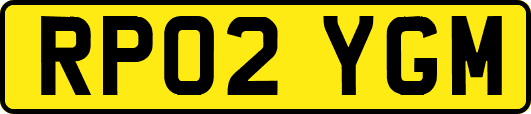RP02YGM
