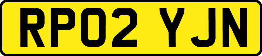 RP02YJN