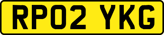 RP02YKG