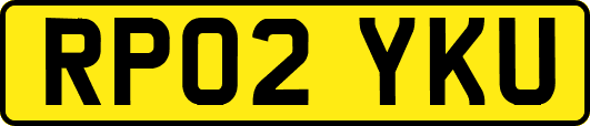 RP02YKU