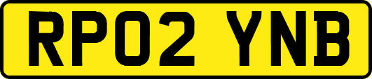 RP02YNB