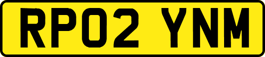 RP02YNM