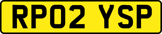 RP02YSP