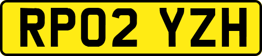 RP02YZH