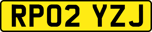 RP02YZJ