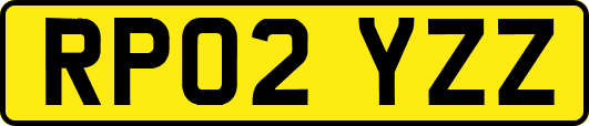 RP02YZZ