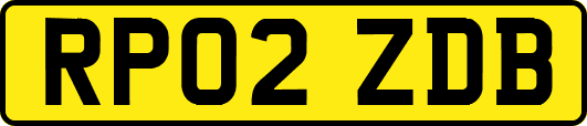 RP02ZDB