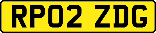 RP02ZDG