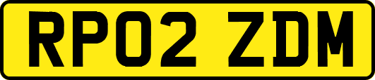 RP02ZDM
