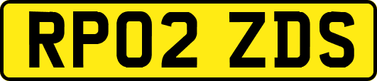RP02ZDS