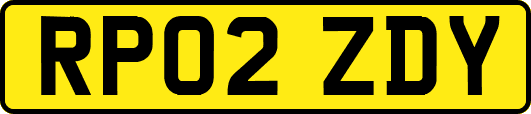 RP02ZDY