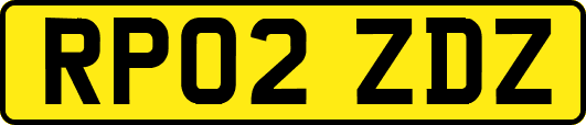 RP02ZDZ