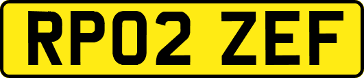 RP02ZEF