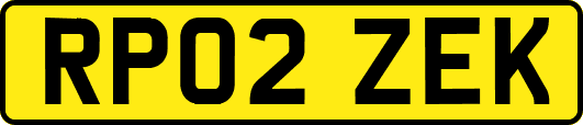 RP02ZEK