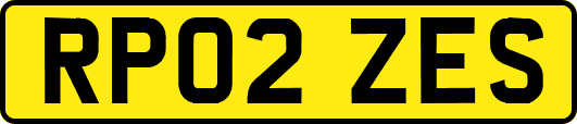 RP02ZES