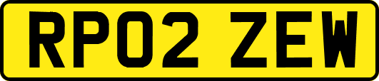 RP02ZEW
