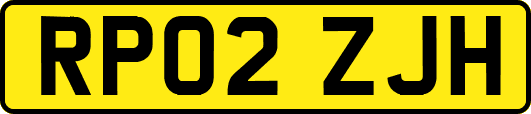 RP02ZJH