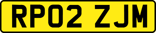 RP02ZJM