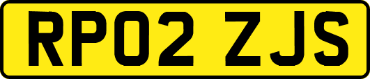 RP02ZJS