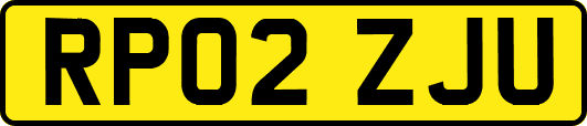 RP02ZJU
