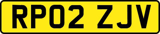 RP02ZJV