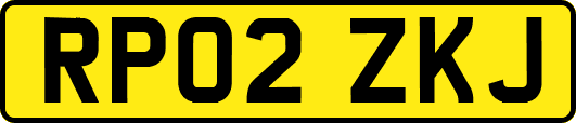 RP02ZKJ
