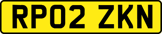 RP02ZKN