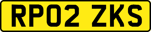 RP02ZKS