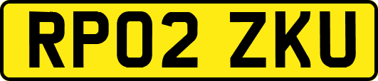 RP02ZKU