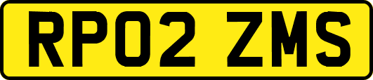RP02ZMS