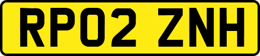 RP02ZNH