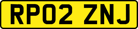 RP02ZNJ