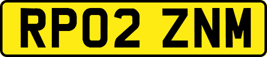 RP02ZNM