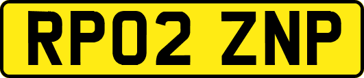 RP02ZNP