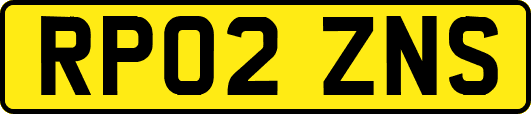 RP02ZNS