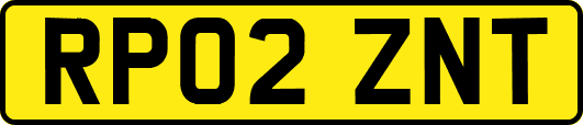 RP02ZNT
