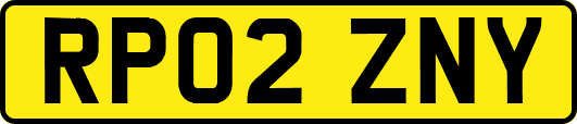 RP02ZNY