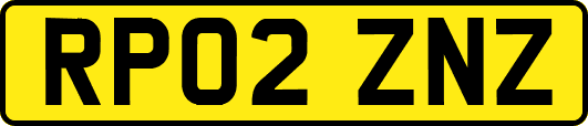 RP02ZNZ