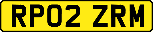 RP02ZRM