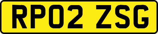 RP02ZSG