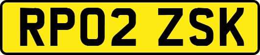 RP02ZSK