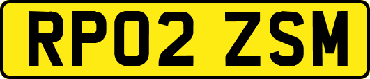 RP02ZSM