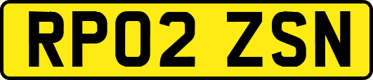 RP02ZSN